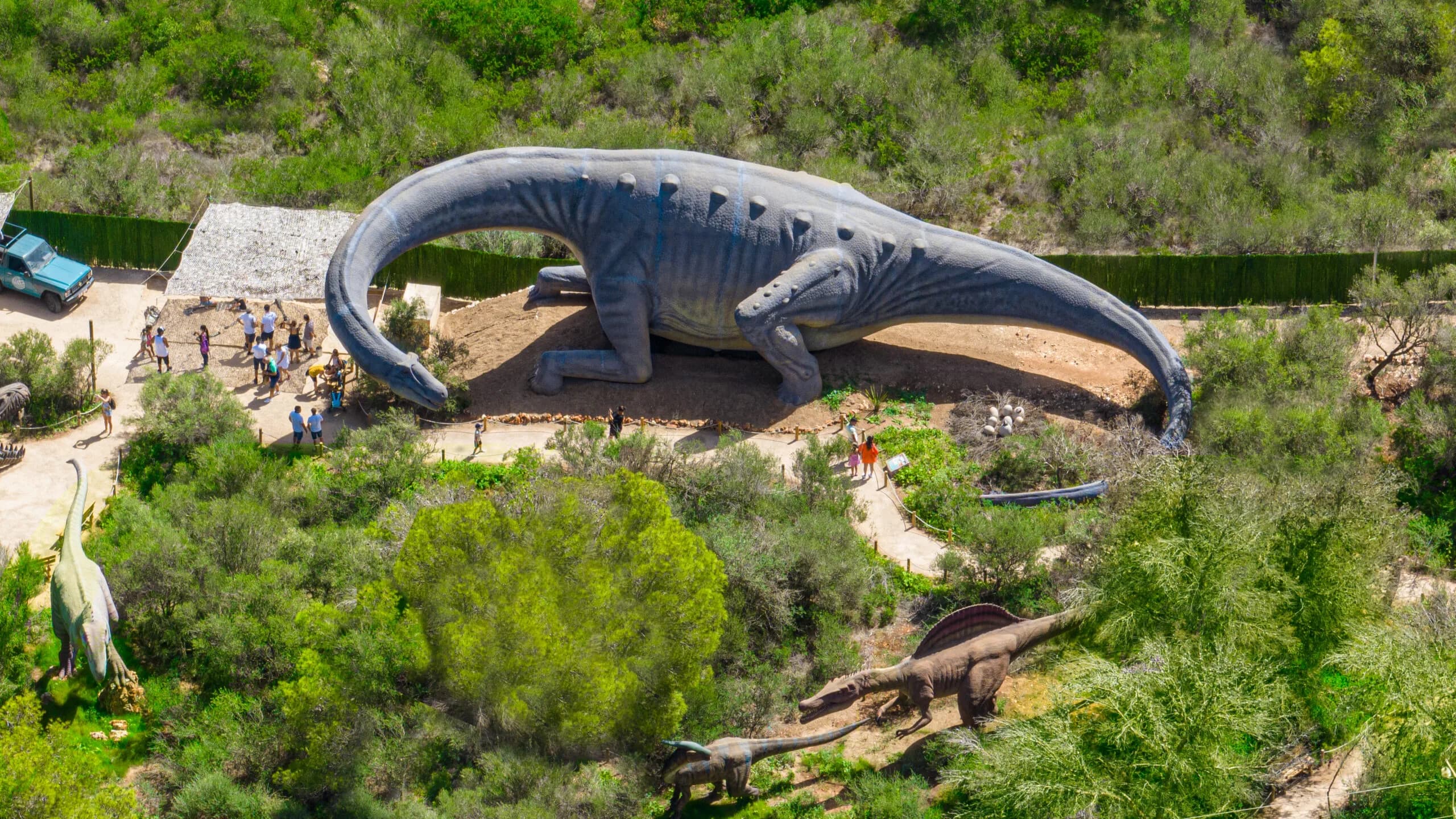 HAMS Dinosaurs Activity